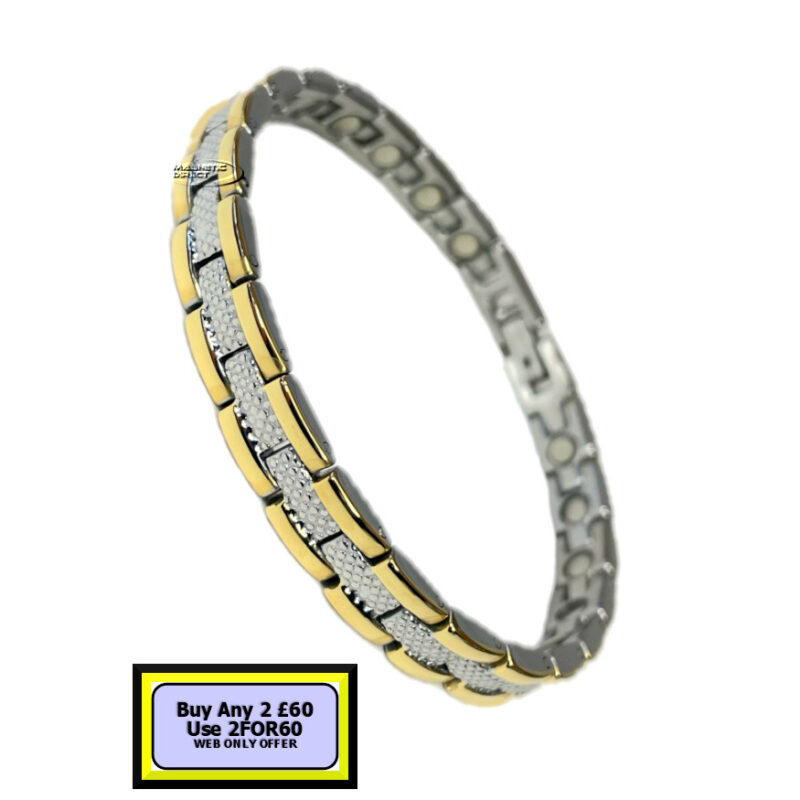 S10 Stainless Steel Magnetic Bracelet