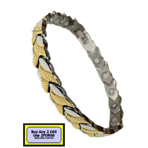 S16 Stainless Steel Magnetic Bracelet