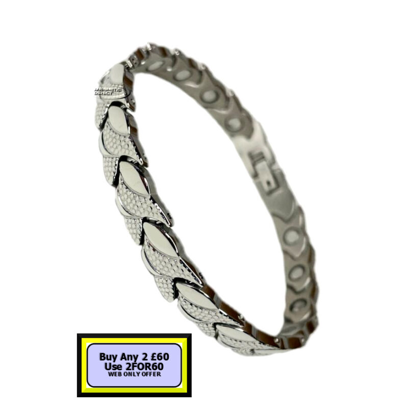 S17 Stainless Steel Magnetic Bracelet