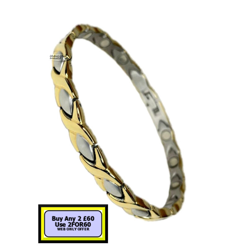 S19s S19 Stainless Steel Magnetic Bracelet