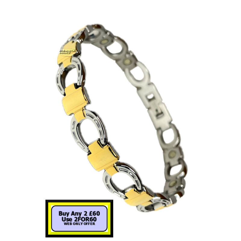 Horseshoe Bracelet Magnetic Stainless Steel S1