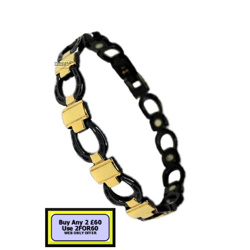 Horseshoe Bracelet Magnetic Stainless Steel S2