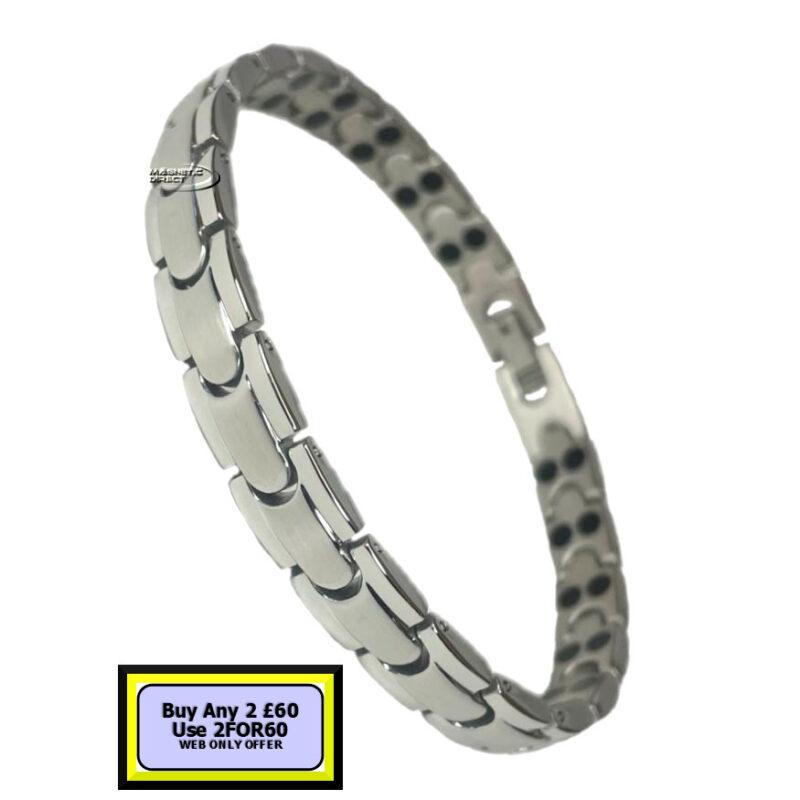 SD10s SD10 Stainless Steeel Double Magnet Bracelet
