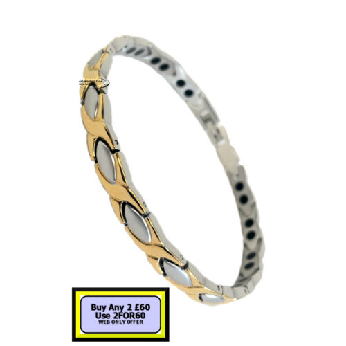 SD2s SD2 Stainless Steeel Double Magnet Bracelet