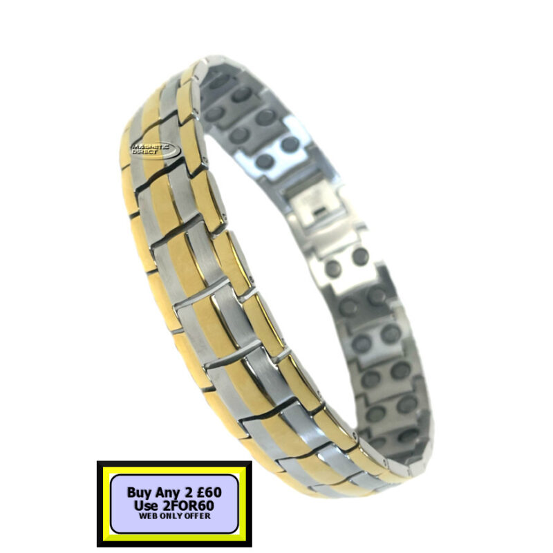 SD3 Stainless Steeel Double Magnet Bracelet
