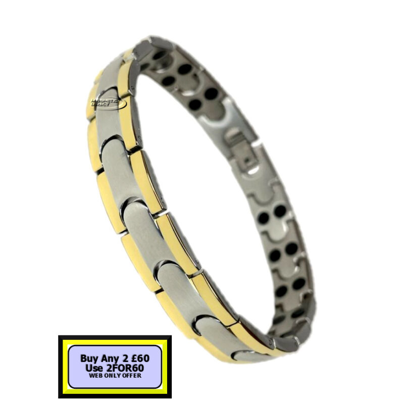 SD9s SD9 Stainless Steeel Double Magnet Bracelet
