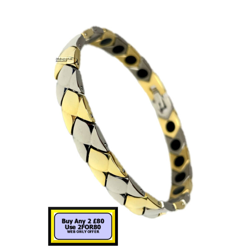 T2 Titanium Magnetic Bracelet
