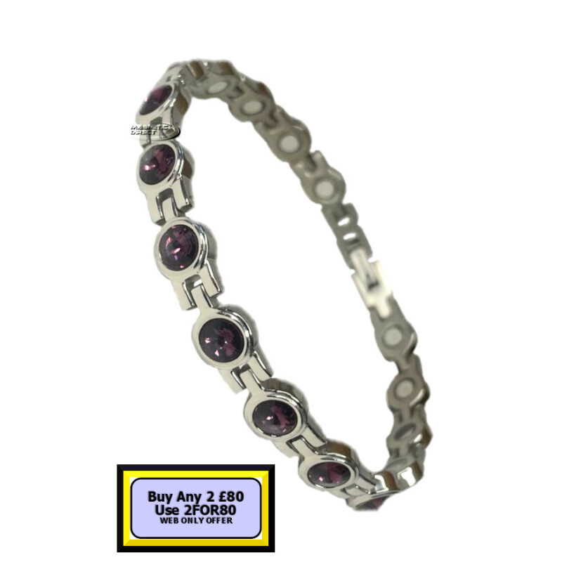 T9s T9 Titanium Magnetic Bracelet