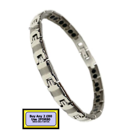 TD10s TD10 Titanium Double Magnet Bracelet