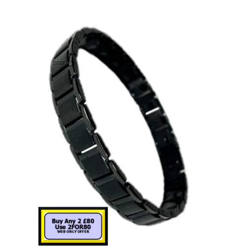 TD11s TD11 Titanium Double Magnet Bracelet