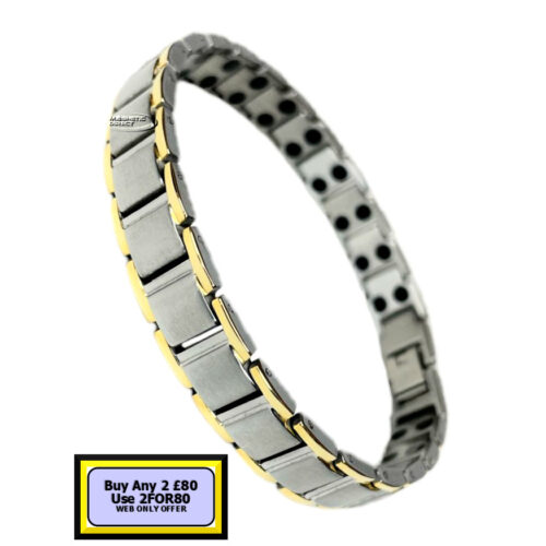 TD12s TD12 Titanium Double Magnet Bracelet