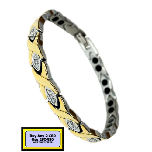 TD13s TD13 Titanium Double Magnet Bracelet