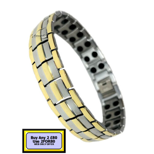 TD14s TD14 Titanium Double Magnet Bracelet