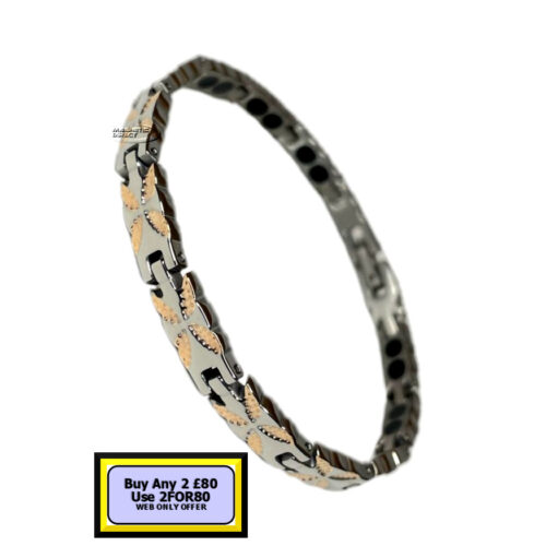 TD17s TD17 Titanium Double Magnet Bracelet