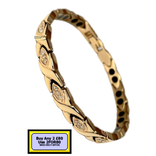 TD18s TD18 Titanium Double Magnet Bracelet