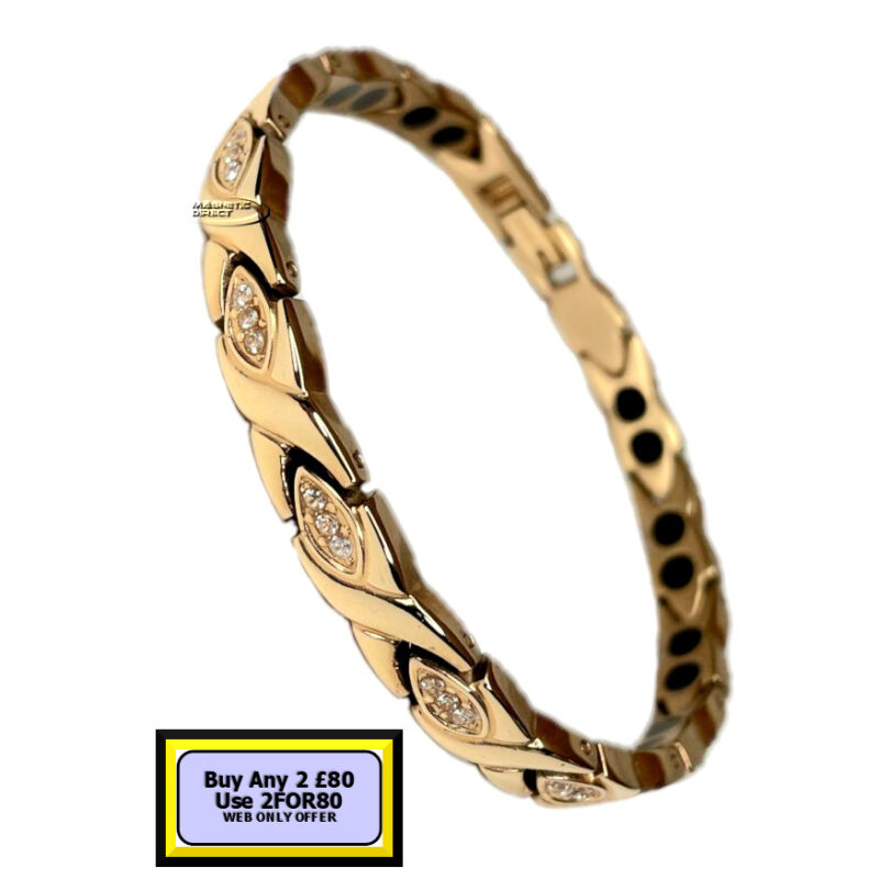 TD18s TD18 Titanium Double Magnet Bracelet