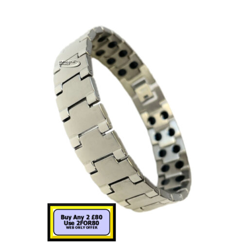 TD1s TD1 Titanium Double Magnet Bracelet