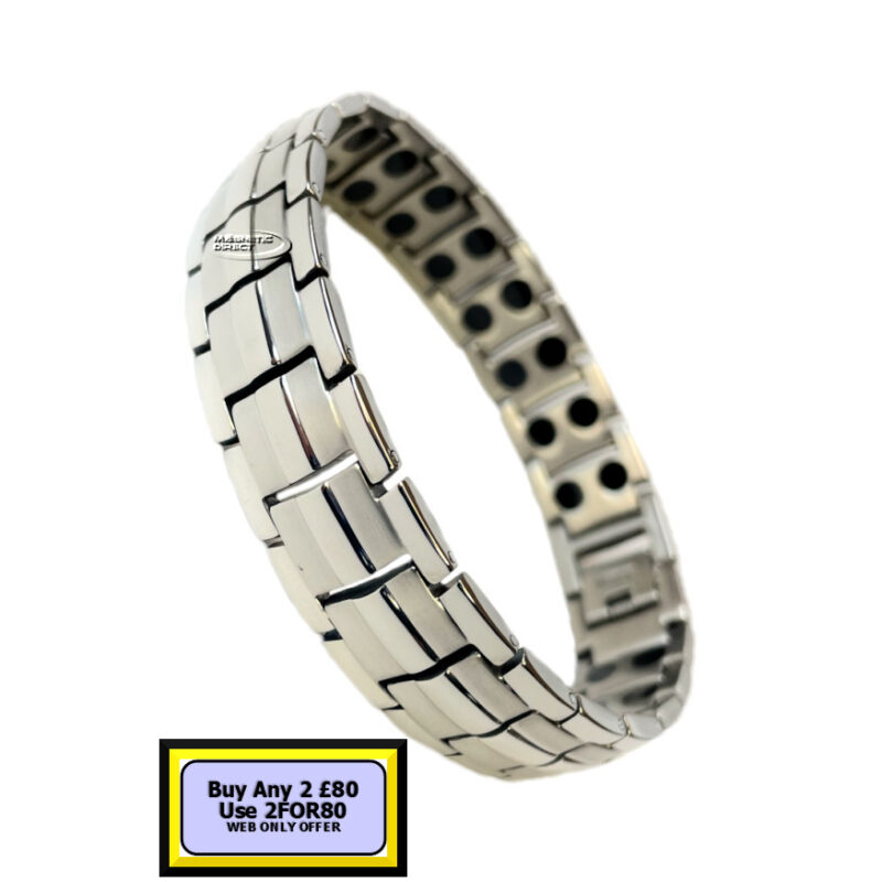 TD3 Titanium Double Magnet Bracelet