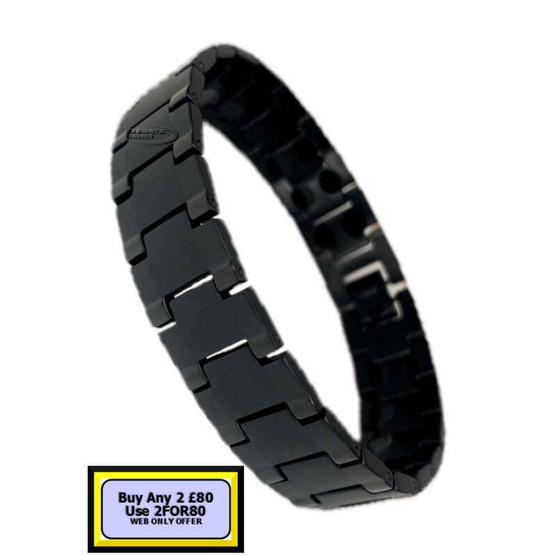 TD6 Titanium Double Magnet Bracelet
