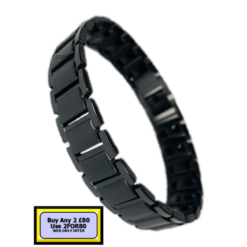 TD7 Titanium Double Magnet Bracelet