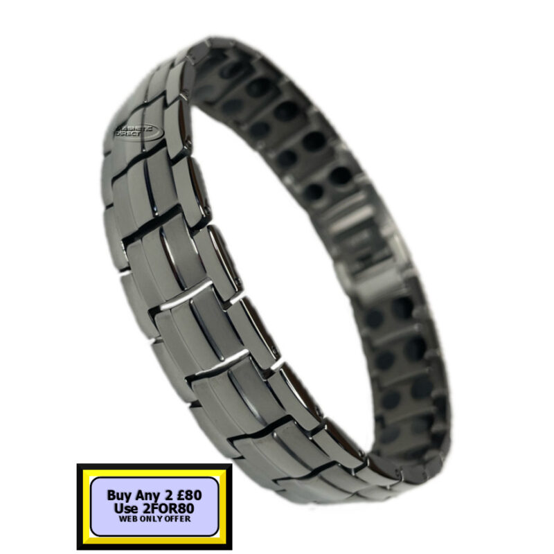 TD8 Titanium Double Magnet Bracelet