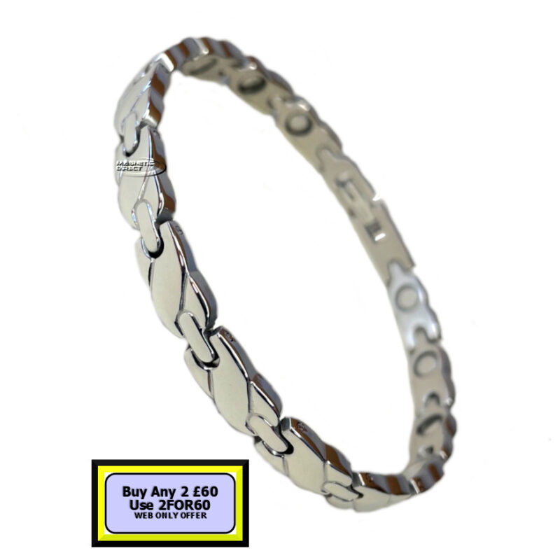 S23 Stainless Steel Magnetic Bracelet