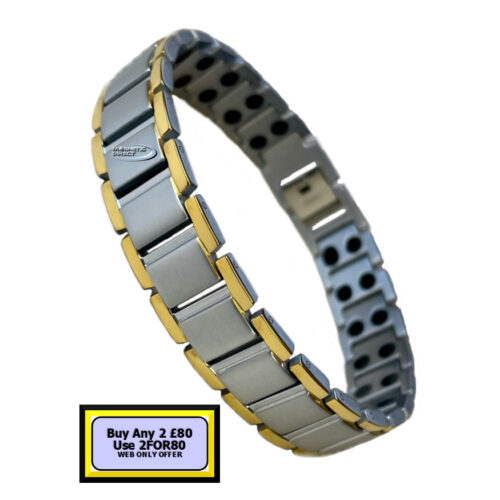 TD19 TD19 Titanium Double Magnet Bracelet