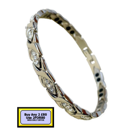 TD20 TD20 Titanium Double Magnet Bracelet