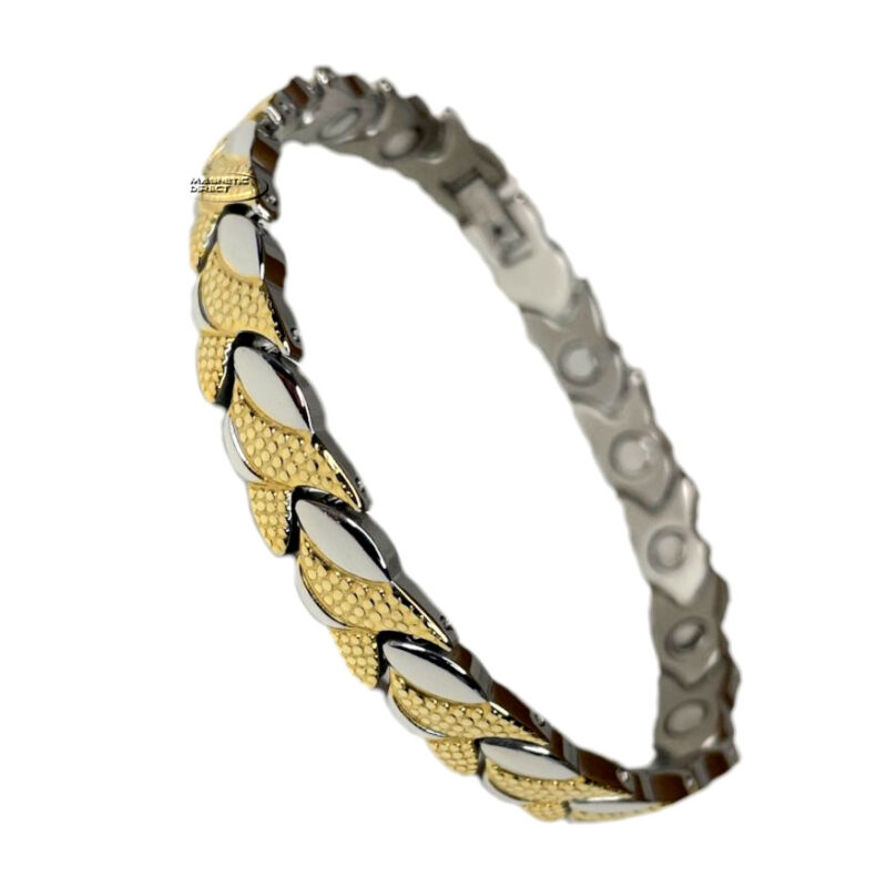 Stainless Steel Magnetic Anklet A16