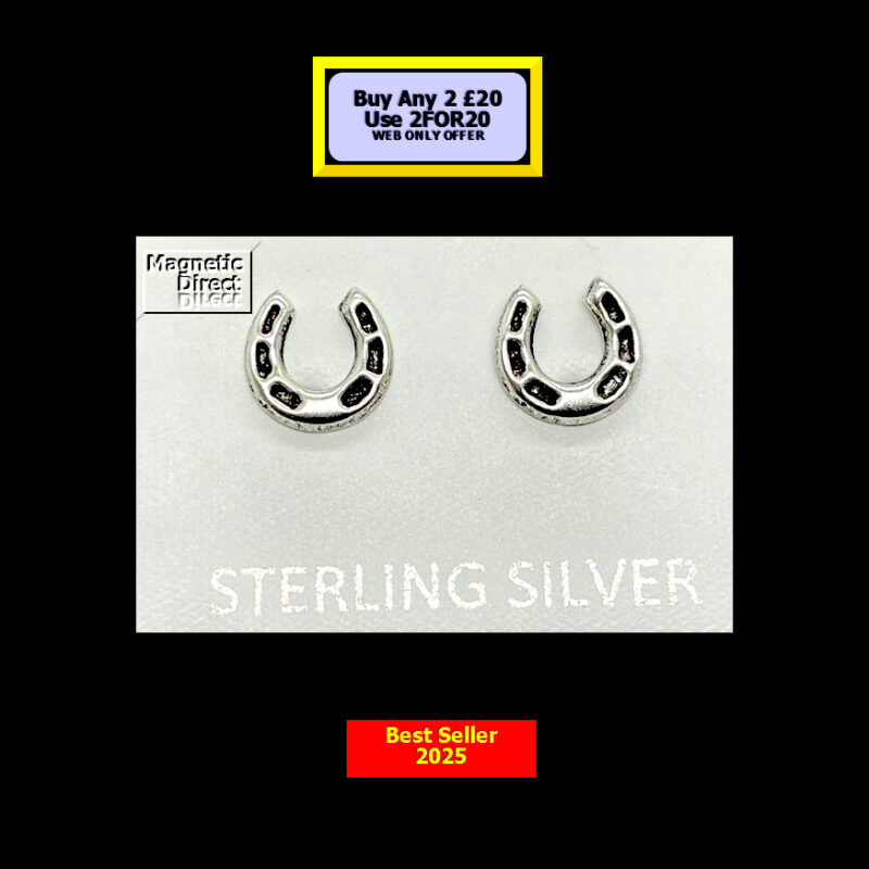Horseshoe Stud Earrings Sterling Silver SS19
