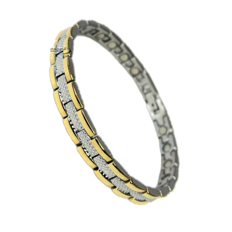 Stainless Steel Magnetic Anklet A10
