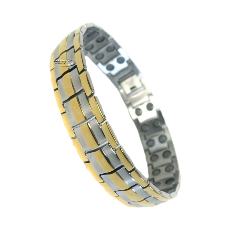 Stainless Steel Magnetic Anklet AD3