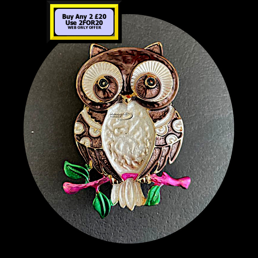Owl Magnetic Brooch Brown MB24